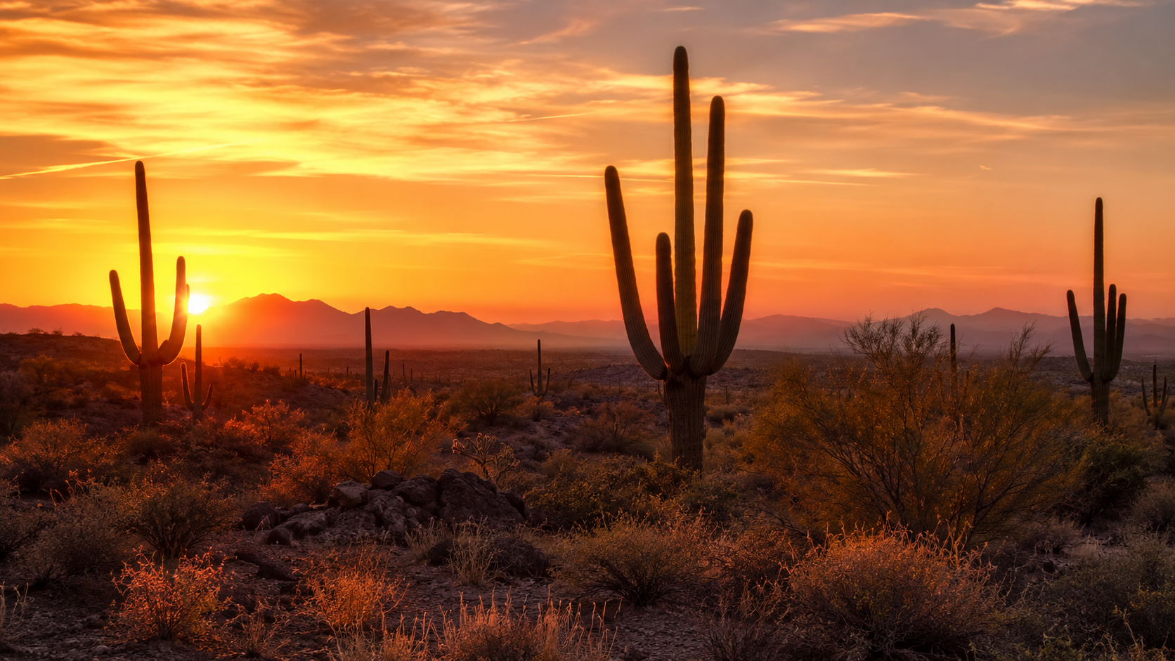 Arizona desert sunset